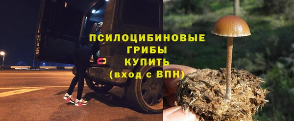 скорость mdpv Новодвинск