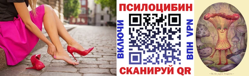 Галлюциногенные грибы мицелий  Сланцы 