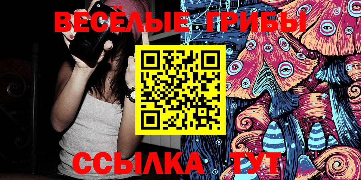 Сланцы  Псилоцибиновые грибы Psilocybine cubensis  Галлюциногенные грибы Psilocybine cubensis  где продают   Вход с VPN 