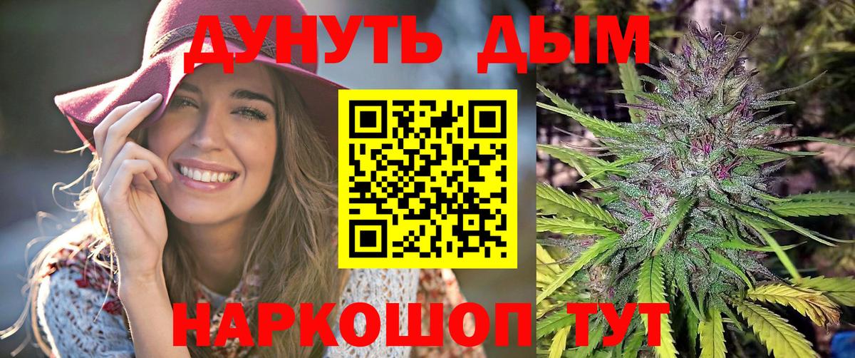 Конопля план Сланцы